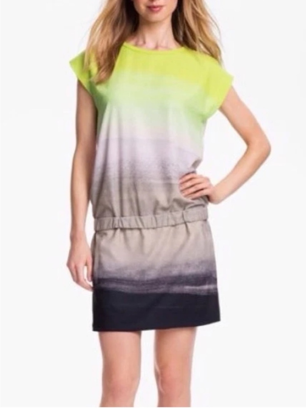 Diane von Furstenberg Tara Dress, Neon Green, Gray and Black, Size 0